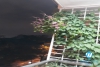 A Spacious Beautiful  studio with lake view for lease in Tay Ho