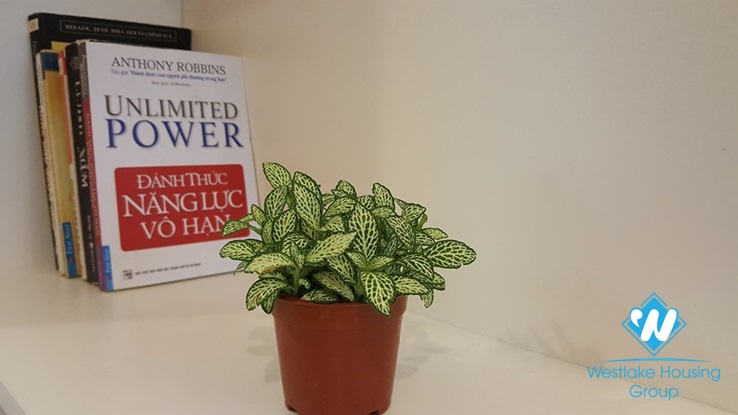 Well-furnished 2 bedroom apartment for rent on Giang Vo street