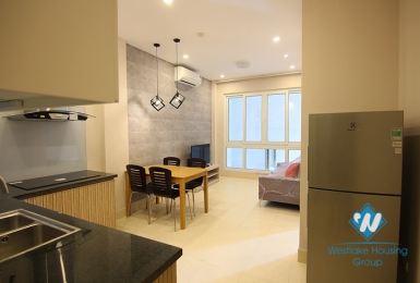 Smart and nice one bedroom apartment for rent in Tay Ho