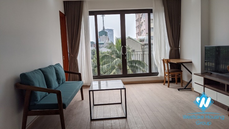 A bright, brand new 1 bedroom apartment for rent on Doi Can street