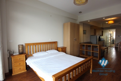 Brandnew lakeview apartment for rent near city centre