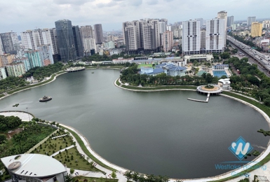 Brand new 3 bedroom apartment for rent in Decapitale Cau giay, Ha noi