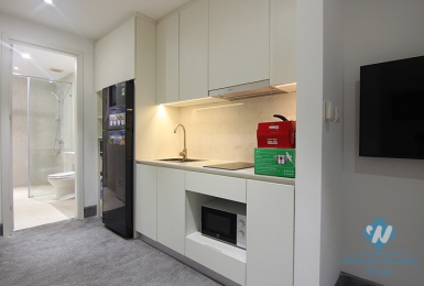 A brand-new and cheap studio in Quang An area