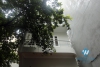 A big house with yard for rent in Ba dinh, Ha noi