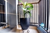 Affordable modern studio for rent in Tay Ho