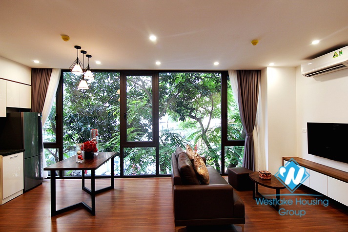 Beautiful one bedroom apartment for rent on Tu Hoa street 