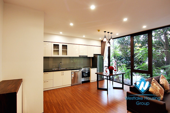 Beautiful one bedroom apartment for rent on Tu Hoa street 