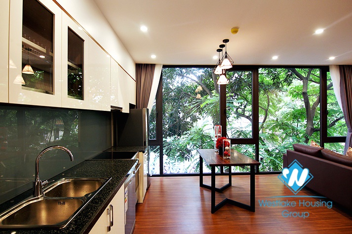 Beautiful one bedroom apartment for rent on Tu Hoa street 