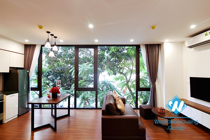 Beautiful one bedroom apartment for rent on Tu Hoa street 