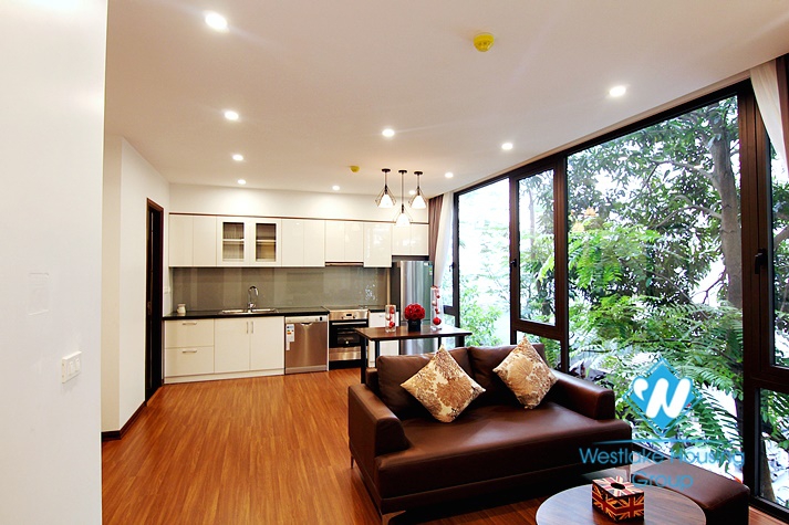 Beautiful one bedroom apartment for rent on Tu Hoa street 