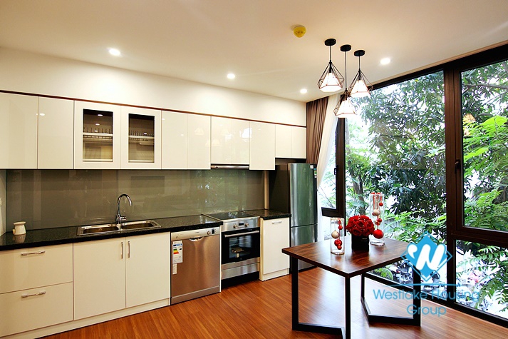 Beautiful one bedroom apartment for rent on Tu Hoa street 