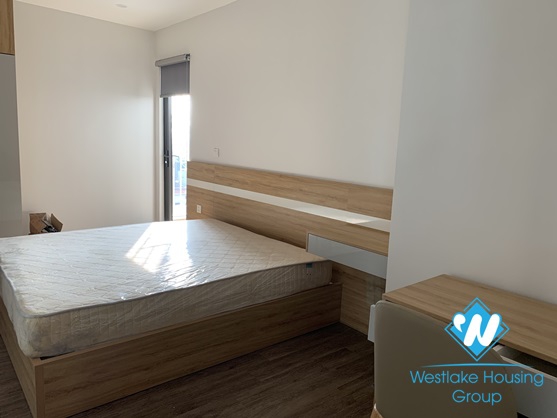 A brand new, elegant style 2 bedroom apartment for rent on Trinh Cong Son street