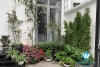 House for rent in Vinhome Harmony Long Bien.
