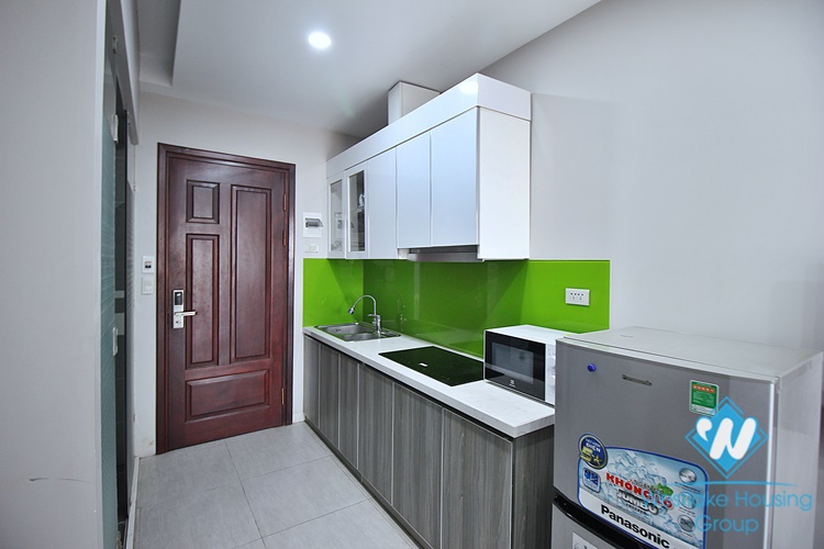 Lake view apartment for rent in Trinh Cong Son st, Tay Ho