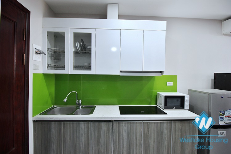 Lake view apartment for rent in Trinh Cong Son st, Tay Ho