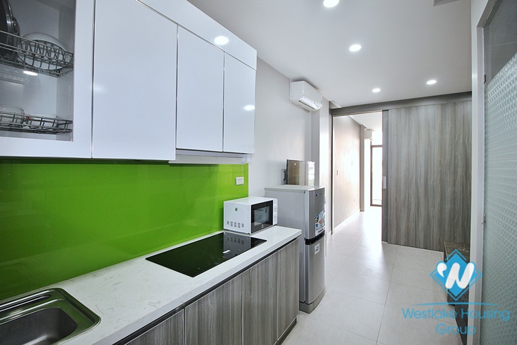 Lake view apartment for rent in Trinh Cong Son st, Tay Ho