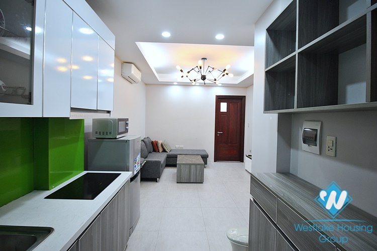 Lake view serviced apartment for rent in Trinh Cong Son street, Tay Ho