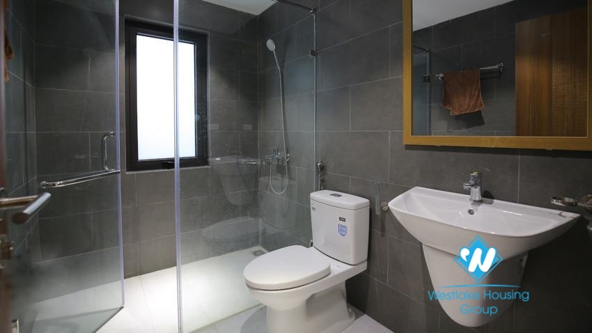 House for rent with four bedrooms and yard around the house in An Duong Vuong, Tay Ho