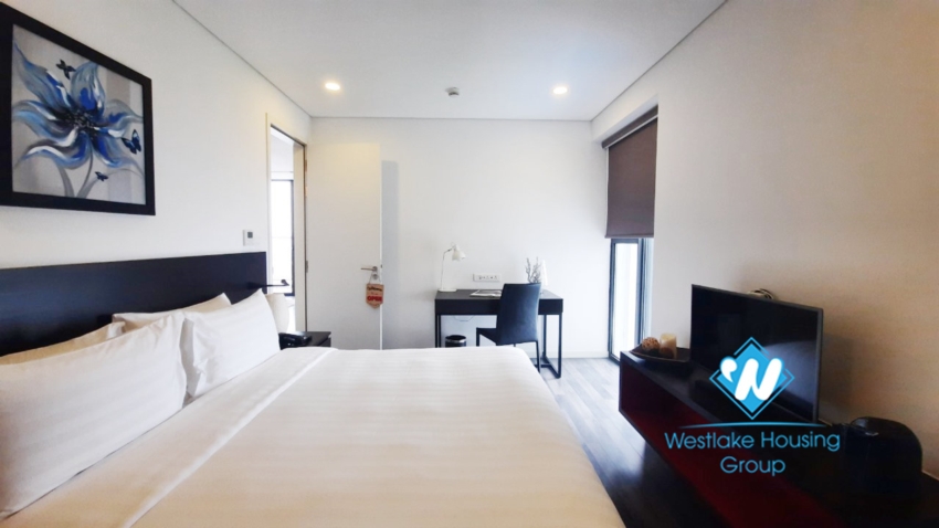 Well designed 2 bedroom apartment for rent in Tay Ho.