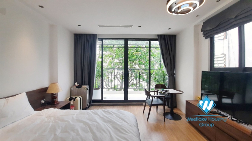 New bright and airy 1 bedroom apartment for rent in Bui Thi Xuan