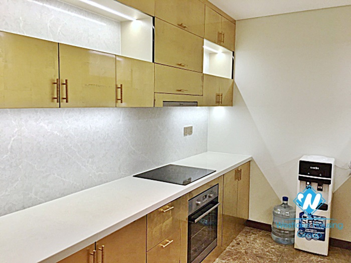 Luxury 4 bedroom apartment for rent in Dang thai mai, Tay ho