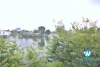 Lake view one bedroom apartment for rent in Vu Mien st
