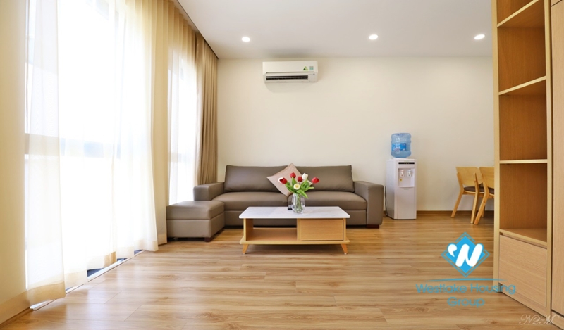 1 bedroom large area cheap apartment for rent in Ba Dinh district