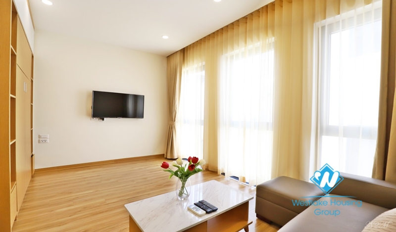 1 bedroom large area cheap apartment for rent in Ba Dinh district