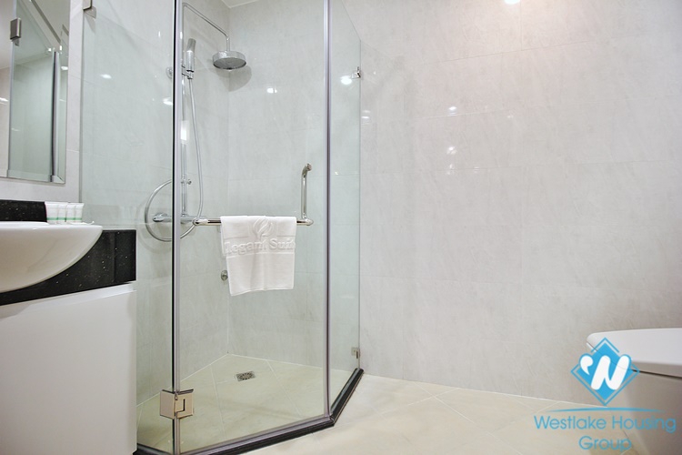 Luxurious 3 beds apartment for rent in Dang Thai Mai street, Tay Ho
