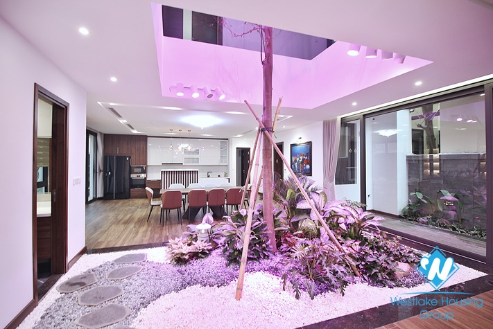 Huge and modern house with big terrace for rent in Tay Ho District 