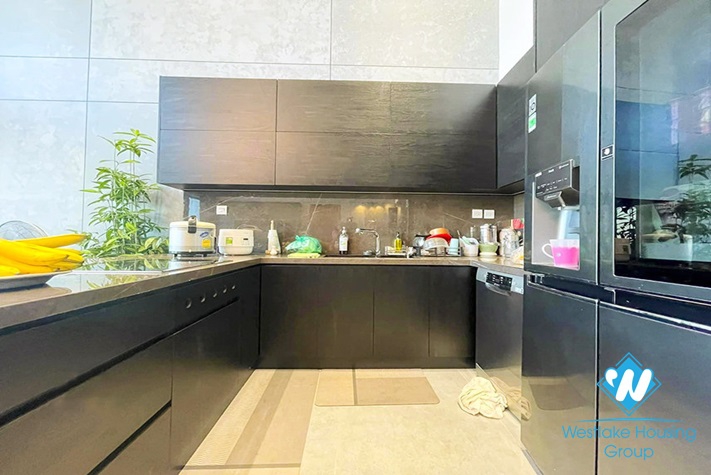 A brand new duplex in An Duong Vuong with river view for rent 