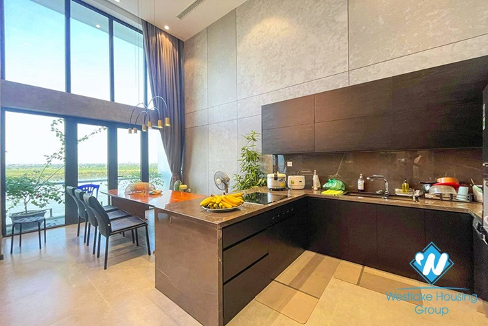 A brand new duplex in An Duong Vuong with river view for rent 