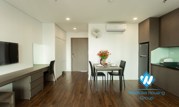 Fully Furnished apartment for lease in Doi Can street, Ba Dinh distric.