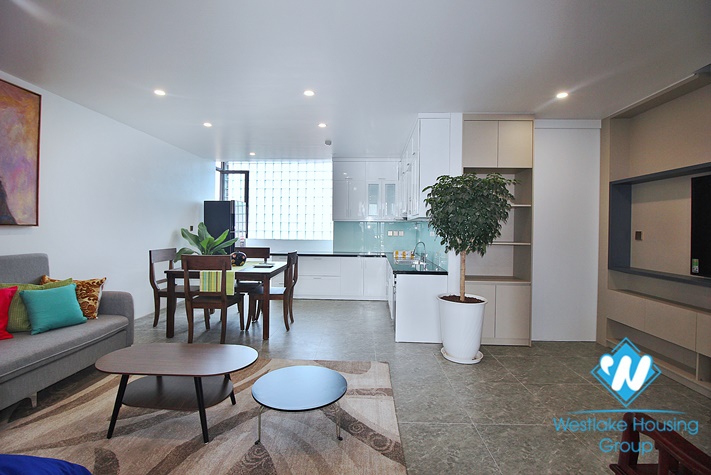 Brand new 2 bedroom apartment for rent in Au Co st , Tay Ho district .