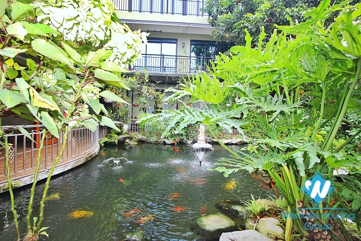 Garden fish pond house in Tay Ho private complex