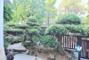 Garden 5 bedrooms villa for rent in Tay Ho, Ha Noi