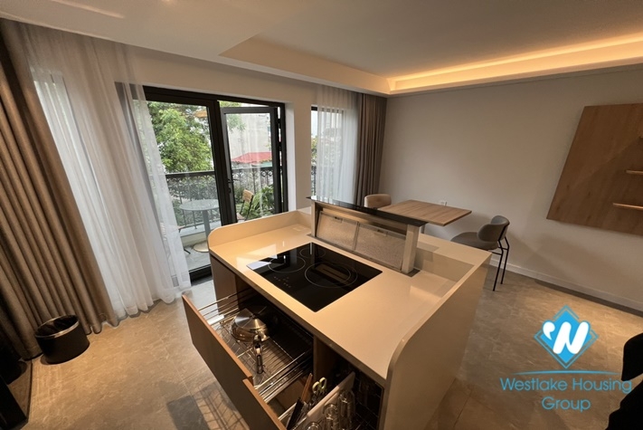 Nice and modern 1- bedroom apartment for rent in Hoan Kiem.