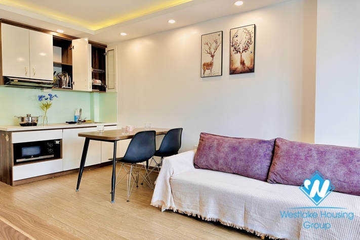 Nice and bright 1 bedroom apartment for rent in Trinh Cong Son st Tay Ho