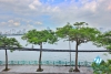 Gorgeous 3 bedroom apartment with beautiful lake view in Tay ho, Ha noi
