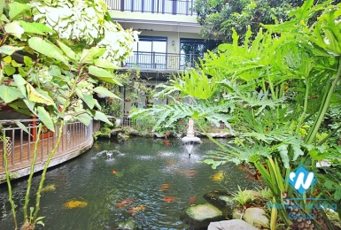Garden fish pond house in Tay Ho private complex