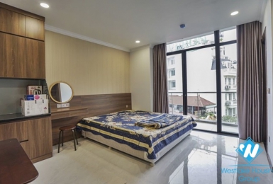 A beautiful and affordable studio for rent in Truc bach area