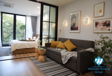 A beautiful 1 bedroom apartment for rent in Ngoc ha, Ba dinh