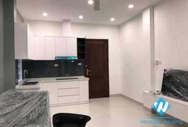 A beautiful 1 bedroom apartment for rent on De La Thanh street