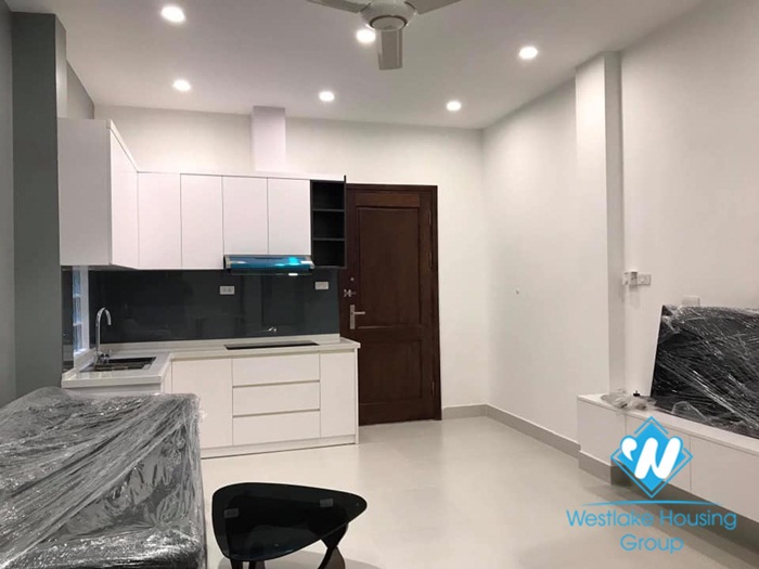 A beautiful 1 bedroom apartment for rent on De La Thanh street