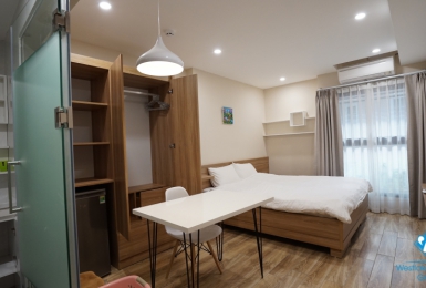 Modern studio apartment on Dao Tan Str