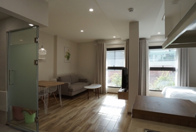 Stylish studio apartment on Dao Tan Str