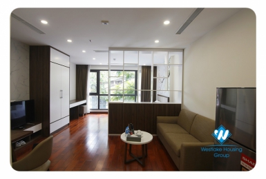 Stunning studio on Phan Ke Binh Str