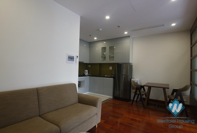 Brand new two bedrooms apartment for rent in Phan Ke Binh st, Ba Dinh