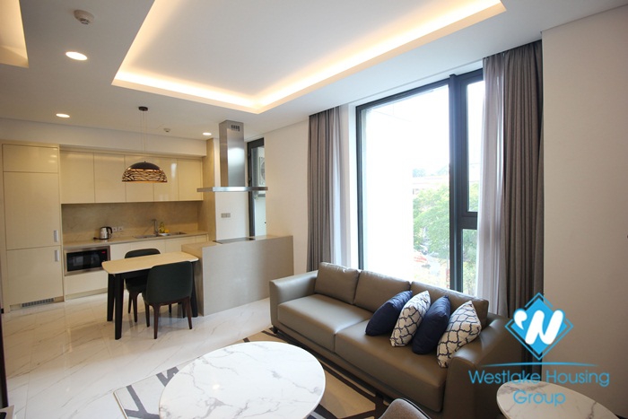 Charming 1 bedroom apartment in top class quality for rent on Doi Can street