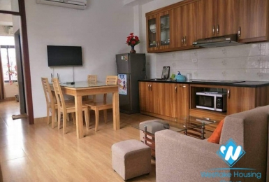 Brand new modern apartment for rent in Xuan Dieu Street 